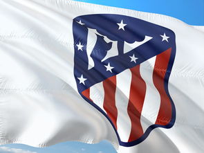 米兰体育网页-欧冠决赛2025：足球巅峰对决，世界瞩目！