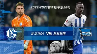 沙尔克再遭失利，陷入保级泥沼深渊的简单介绍